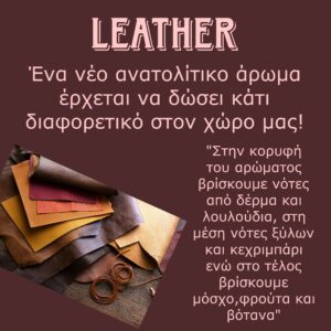 LEATHER  (δέρμα)